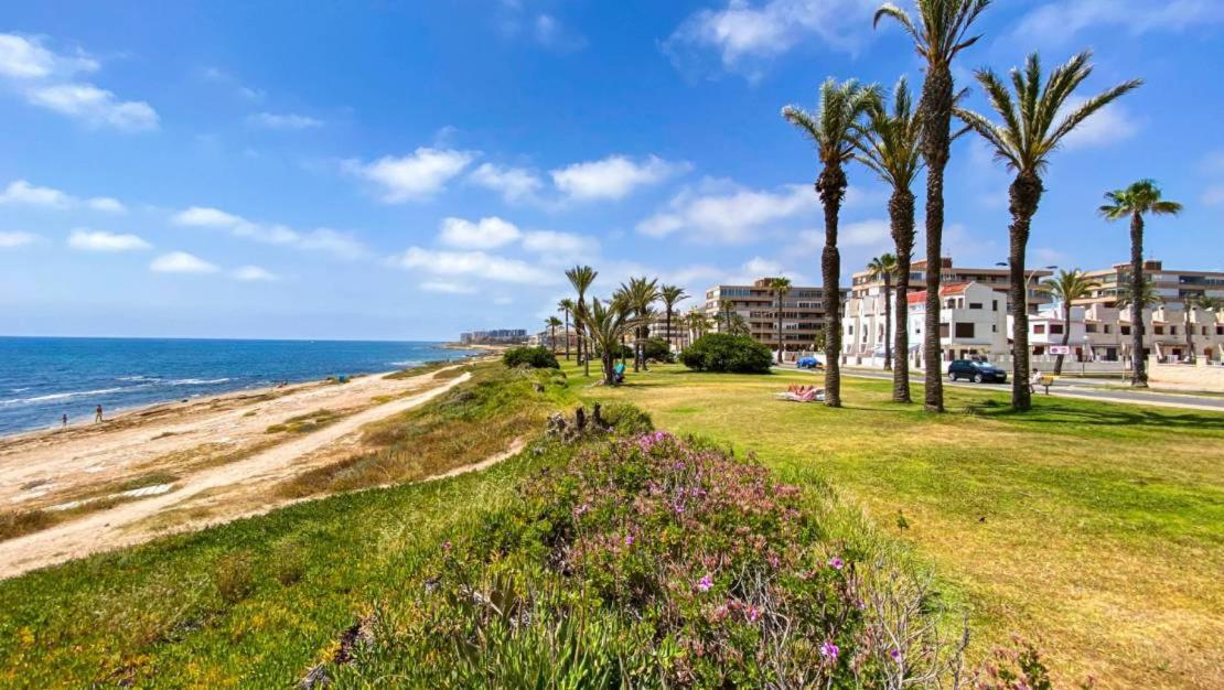 Apartamento Villa Amalia Τορεβιέχα Εξωτερικό φωτογραφία