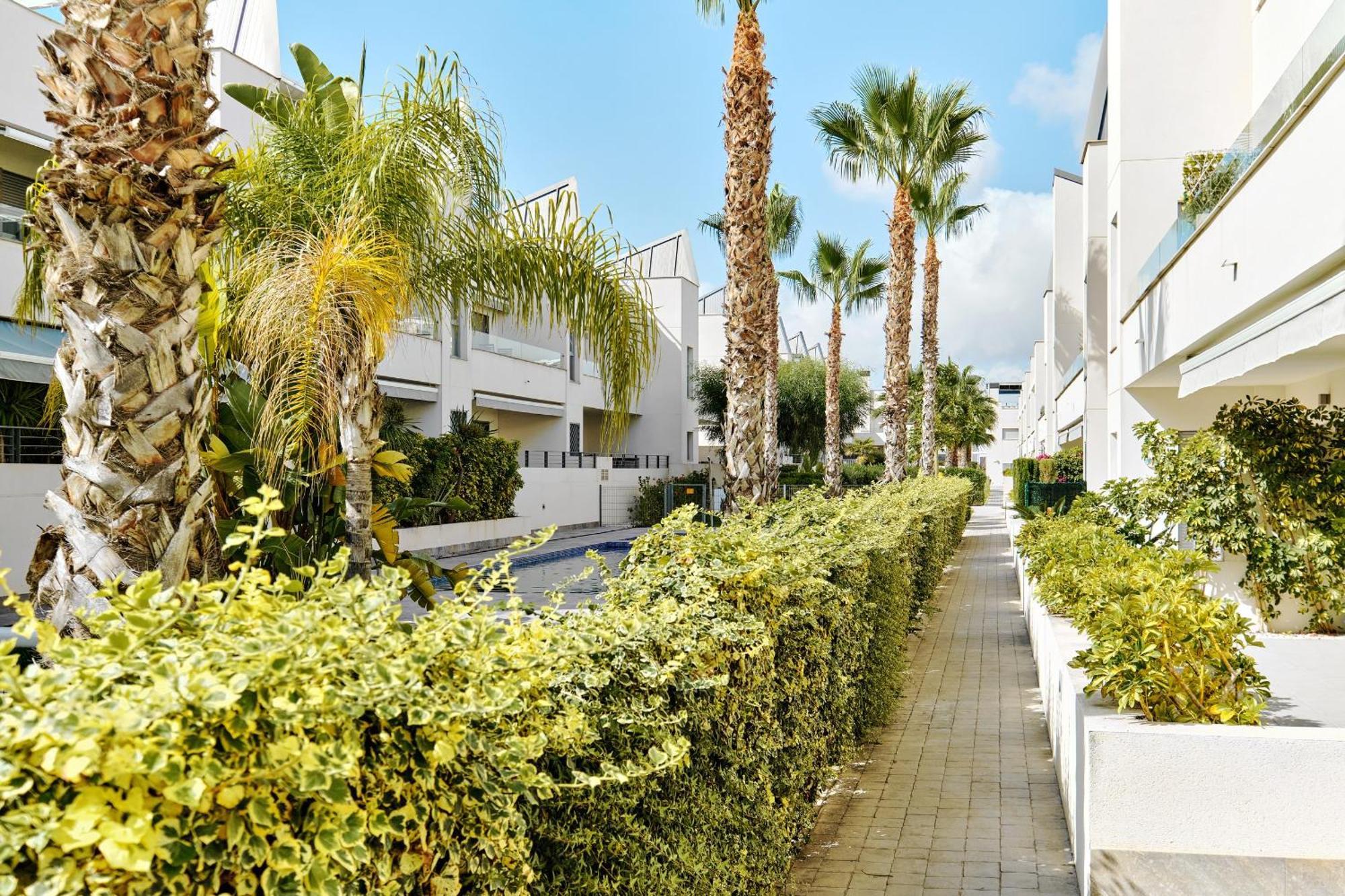 Apartamento Villa Amalia Τορεβιέχα Εξωτερικό φωτογραφία